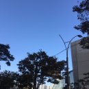 거북탕 | [일상기록]10월30일-31일, 오후반차, 경성대미용실 클리닉, 다대포해수욕장 일몰 트윈촬영, 전포카페...