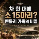 차 한 대에 소 15마리? 벤틀리 가죽의 비밀 이미지