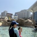평창 아이와 가볼 만한 곳! 휘닉스파크 워터파크 블루캐니언 방문 후기