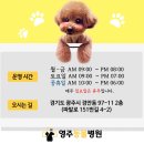 영주동물병원 이미지