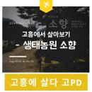 매실농원민박 이미지