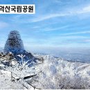 소나무가든식당