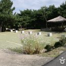 태학산자연휴양림 이미지