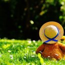 낙동강체육공원 어린이놀이터 이미지