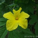 팔용산 체육공원 이미지