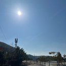 송도오토캠핑장 | 소원면 캠핑장 가성비 공략 — 서해땅끝파도리아치내캠핑장 60,000원 오션뷰