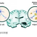 이롬바이오 이미지