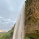 설레이다 이미지