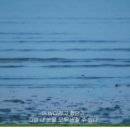 숲의 이야기를 들어볼래? 이미지