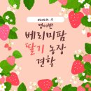 영아농장 이미지