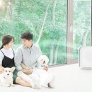 펫사랑 동물병원 이미지