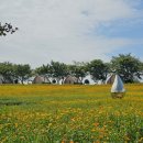 나르샤의정원 이미지