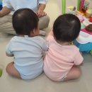 베이비그라운드 이미지