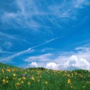 블루오션 이미지