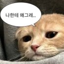 호야상점 - 양주시 | 호야상점