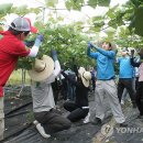 중화농협 하나로마트 이미지