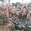 (주)이마트동해점 네이버블로그