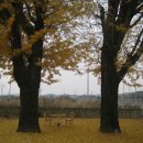 임실초등학교 이미지