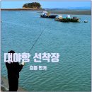 대야도어촌체험휴양마을 | 대야도항 낚시, 좌대로 가기 전 흐름을 보는 곳