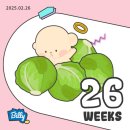 26w 일상조각모음 🐥