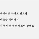 핫점핑 네이버블로그
