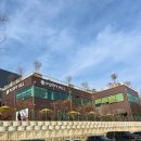 퍼피힐(PUPPY HILL) 이미지