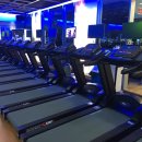 노블 휘트니스 이미지