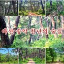 10월12일(토) 10월 정기도보-솔숲따라 천년의 세월을 걷다- 아산 봉곡사 '천년의 숲길' 이미지