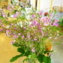 제이ㆍ케이 이미지