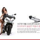 aprilia SR MAX 300 아크라포빅 슬립온 머플러 증정 프로모션 이미지