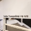 리틀비틀제주삼화점