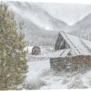 계륵동길 | T맴버십 할인 메가커피 쿠폰 사용법 등급별 혜택 후기