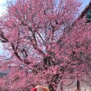 지산  마을회관 이미지