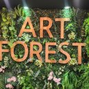 미술 심리를 통한 힐링 아트 이미지