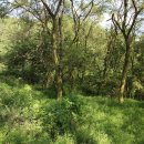 충북야생동물센터 이미지