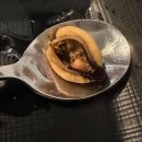 언덕구이포차 | 율전동 술집 제철 해산물 메뉴 오군포차 재방문 후기