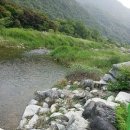 이조모텔 이미지