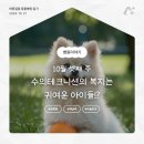 (주)바른선 이미지