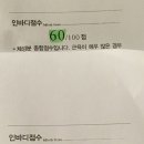 햇살을 가득 머금은 사과