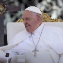 '동성 결혼' 축복한 교황의 ‘프로차지네’ 발언 논란... 무엇이기에? 이미지