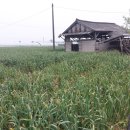 남도빌딩 이미지