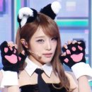 캐치캐치 이미지