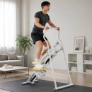 스텝밀 | 올바른 자세로 5분만! 숀리 천국의 계단 스텝밀 추천후기