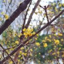 전재울근린공원반월마당 이미지