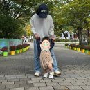 장자호수공원 장미터널 | 장자호수공원 구리 빛축제 후기｜아이와 나들이 낮에도 충분히 반짝!