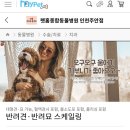 마이펫종합동물병원 이미지