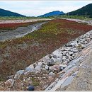 태영 태양광발전소 이미지