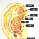 이혈요법 이미지