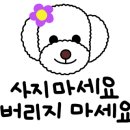 함께할개사랑할개 이미지