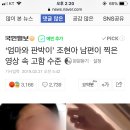 ‘엄마와 판박이’ 조현아 남편이 찍은 영상 속 고함 수준 이미지